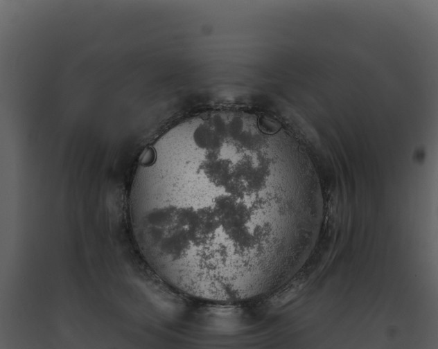 X0000093500659200710191250
