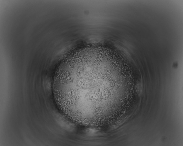 X0000093500662200710191250