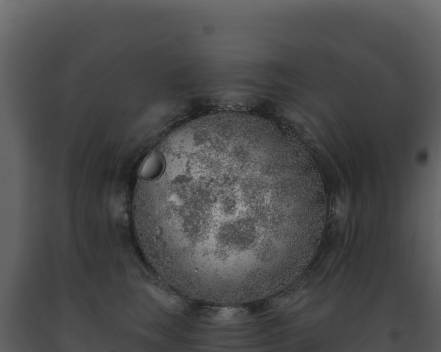 X0000093500663200710191250