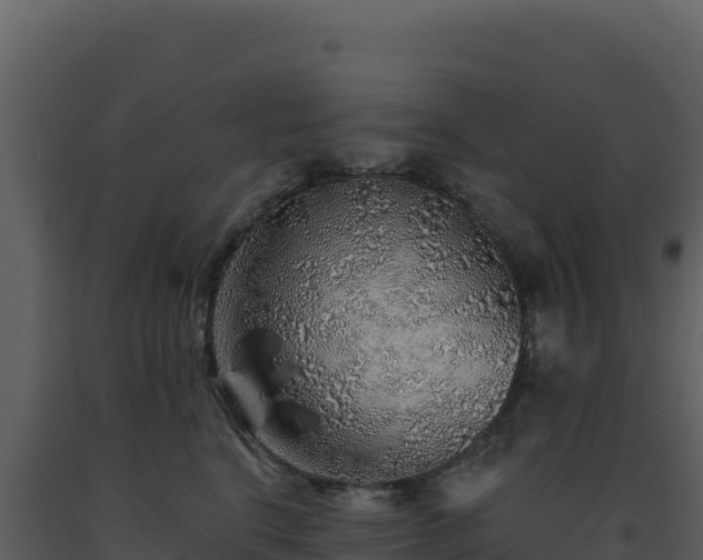 X0000093500664200710191250