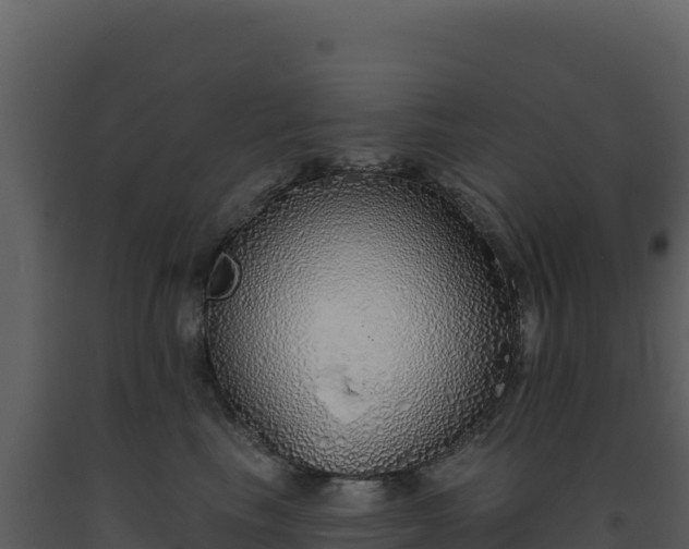 X0000093500665200710191250