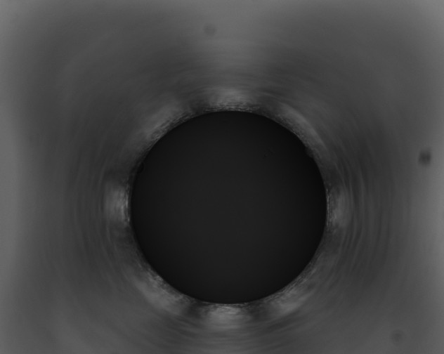 X0000093500669200710191250