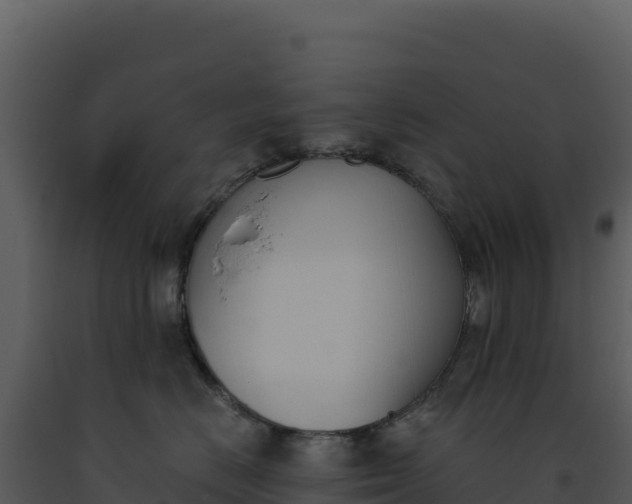 X0000093500670200710191250