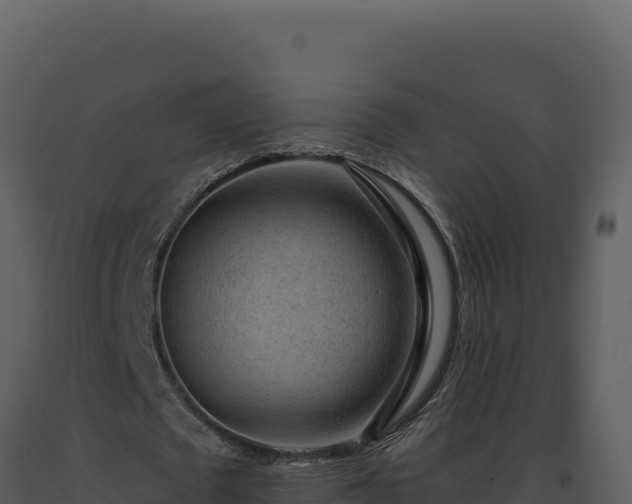 X0000093500673200710191249