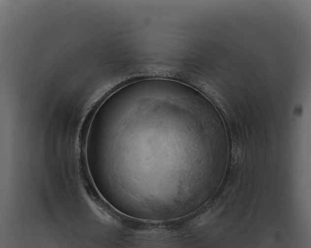 X0000093500674200710191249