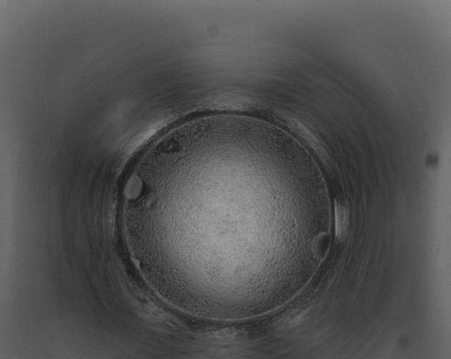 X0000093500675200710191249