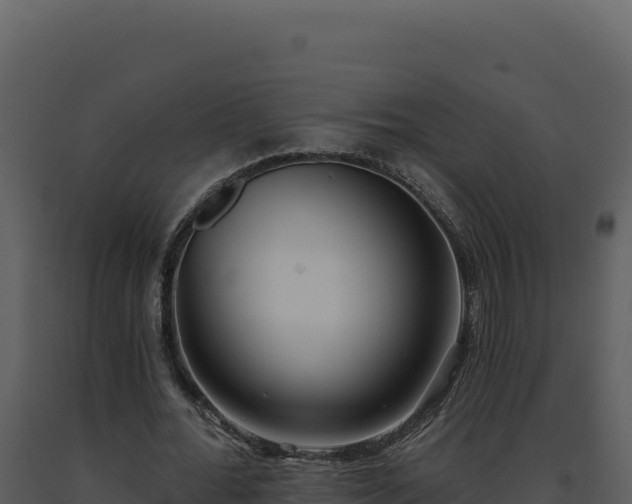 X0000093500676200710191249