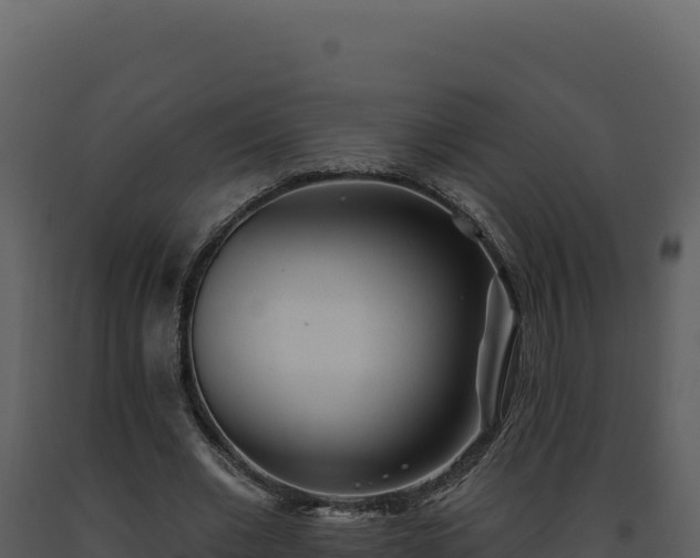 X0000093500677200710191249