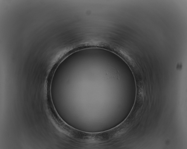 X0000093500678200710191249