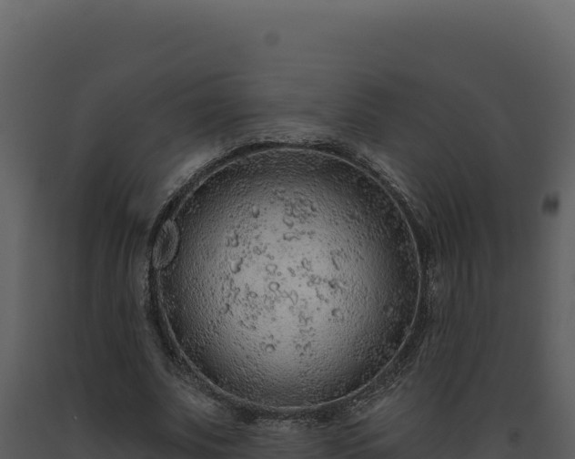 X0000093500679200710191249