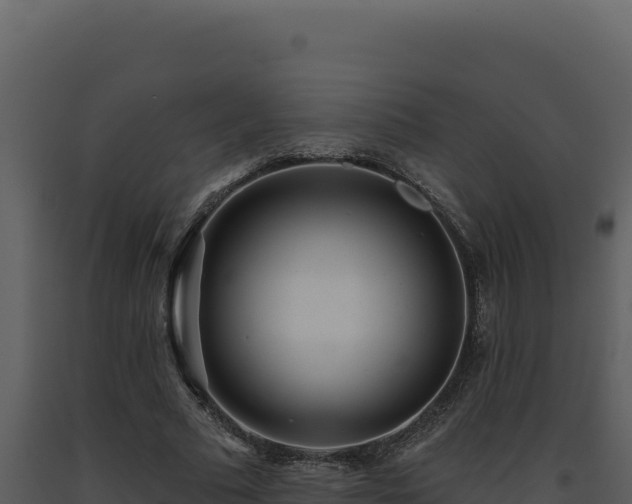 X0000093500681200710191249