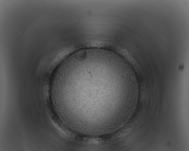 X0000093500683200710191249