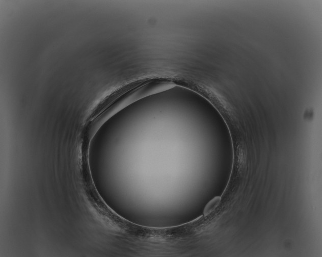 X0000093500684200710191249