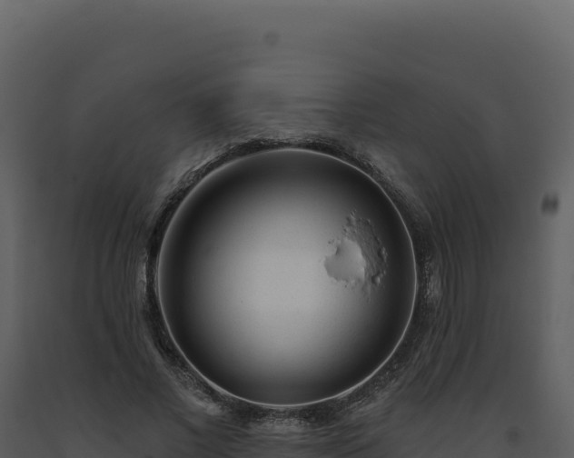 X0000093500685200710191249