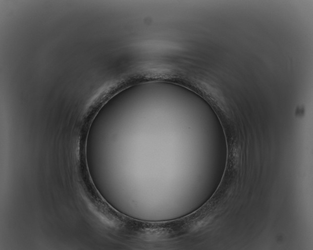 X0000093500686200710191249
