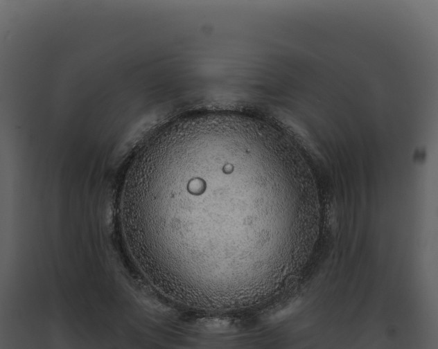 X0000093500687200710191249