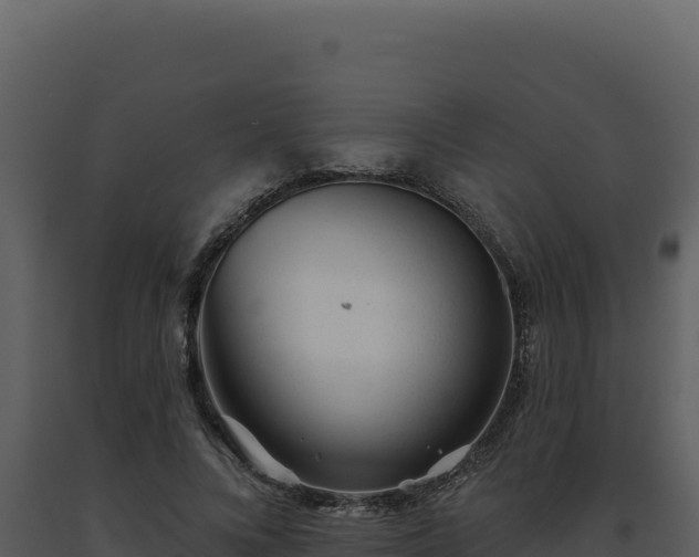 X0000093500688200710191249