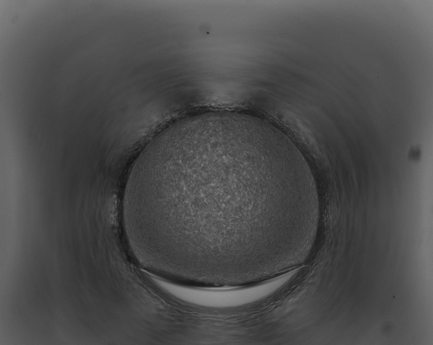 X0000093500689200710191249