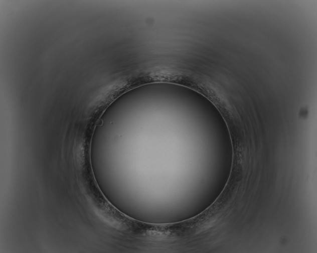 X0000093500690200710191249