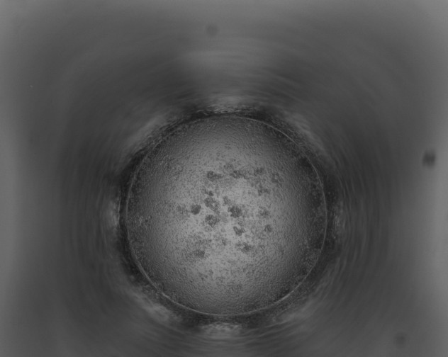 X0000093500691200710191249