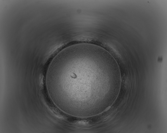 X0000093500692200710191249