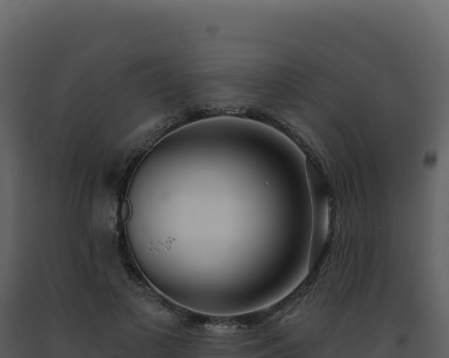 X0000093500693200710191249