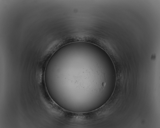 X0000093500694200710191249
