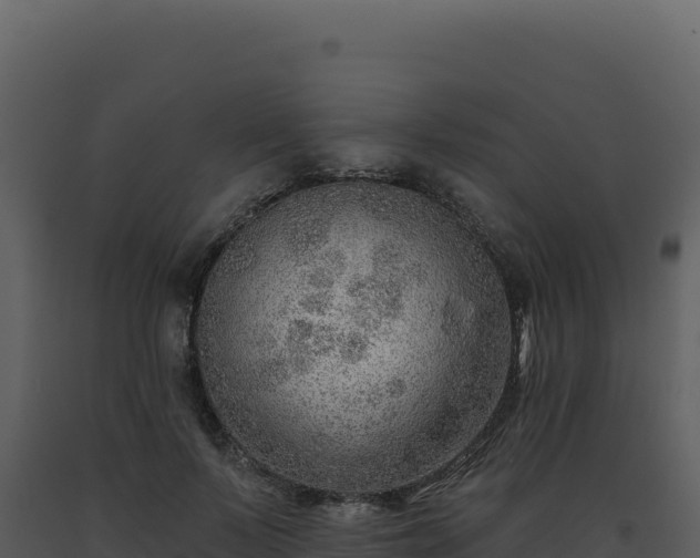 X0000093500695200710191249