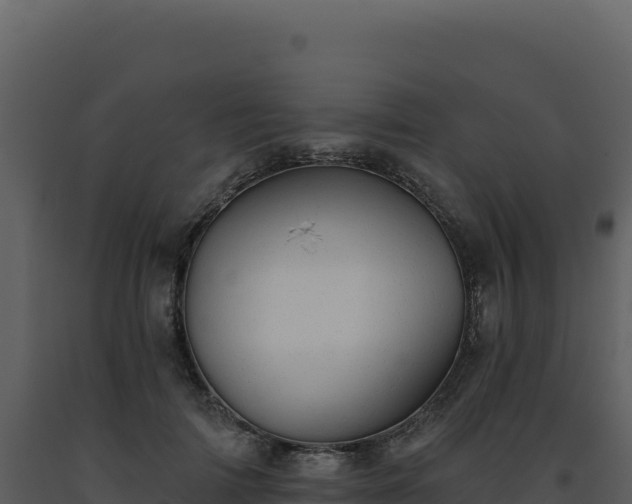 X0000093500698200710191249