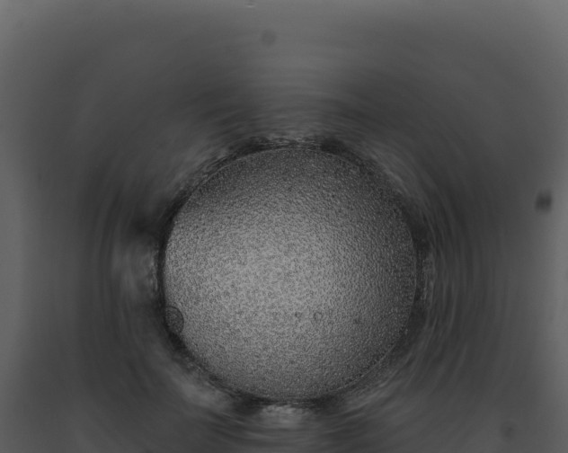 X0000093500699200710191249