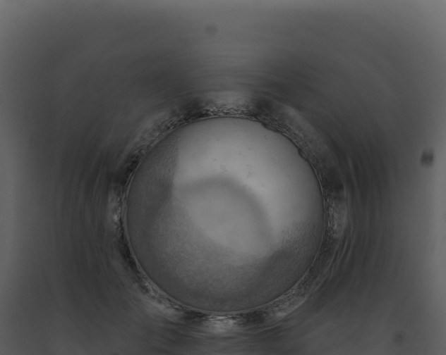 X0000093500701200710191249