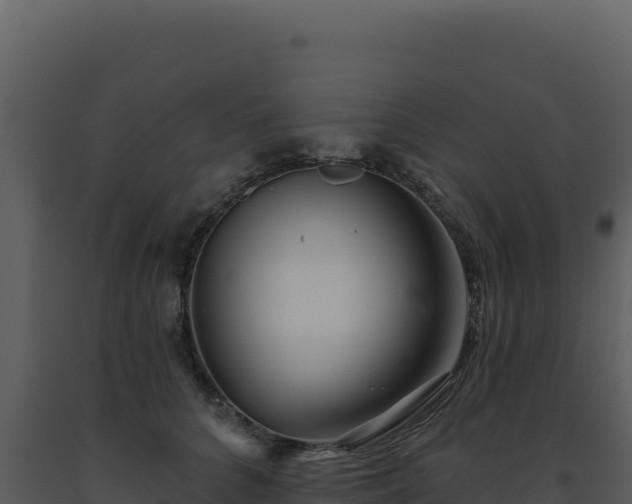 X0000093500704200710191249