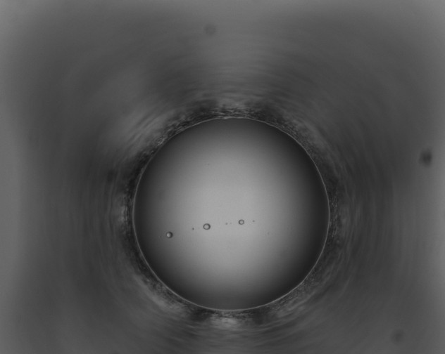 X0000093500706200710191249