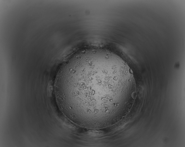 X0000093500707200710191249