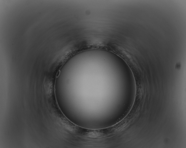 X0000093500708200710191249