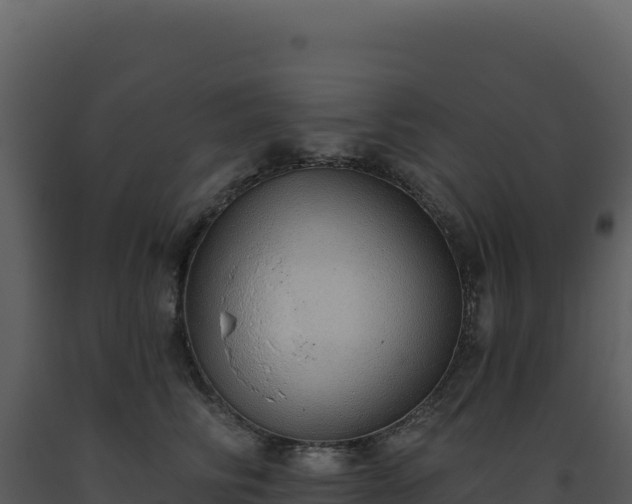 X0000093500710200710191249