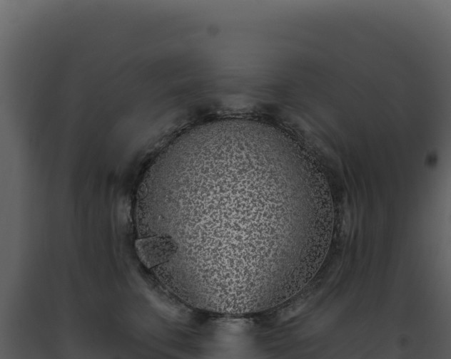 X0000093500711200710191249