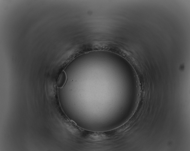 X0000093500712200710191249