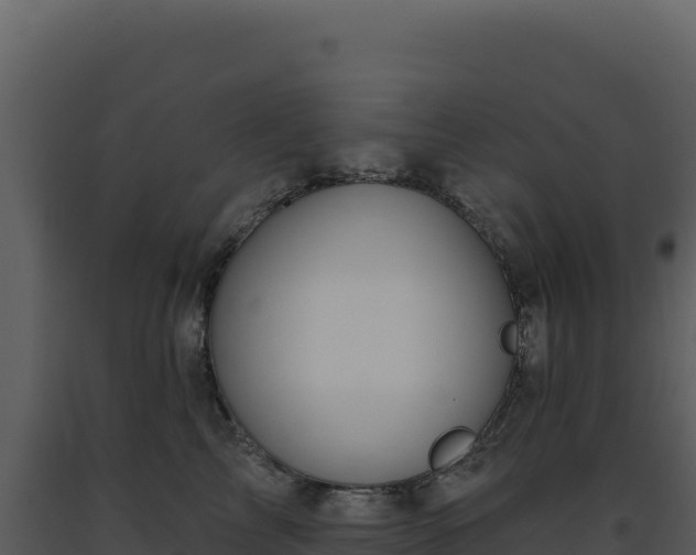 X0000093500713200710191249