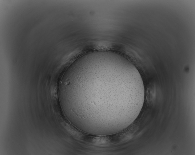 X0000093500714200710191249