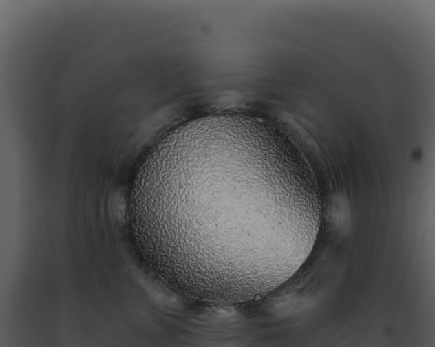 X0000093500715200710191249