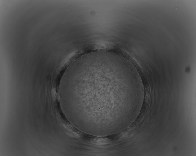 X0000093500716200710191249