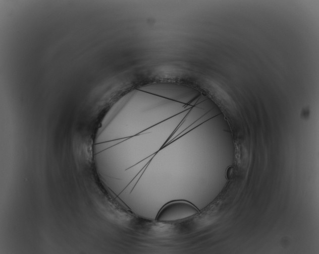 X0000093500718200710191249