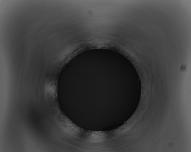 X0000093500720200710191249