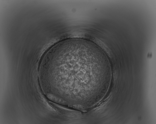 X0000093500721200710191248