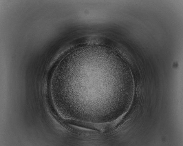 X0000093500722200710191248