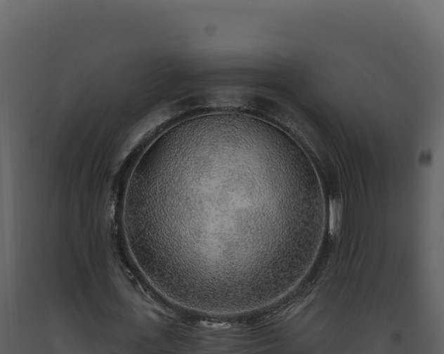 X0000093500723200710191248