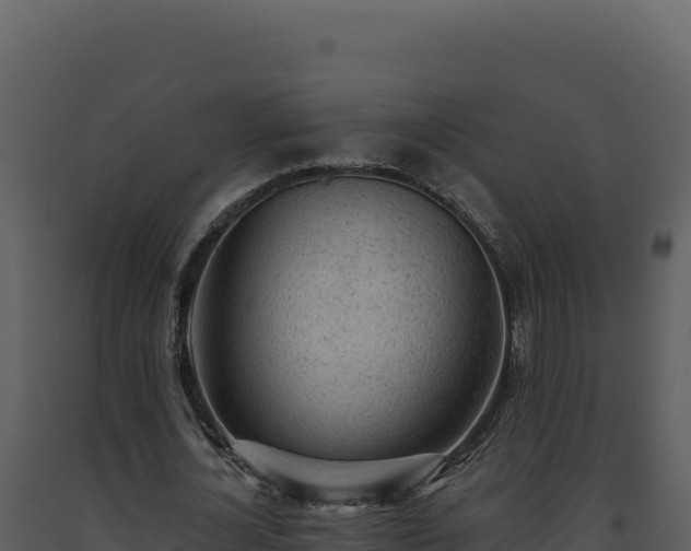 X0000093500724200710191248
