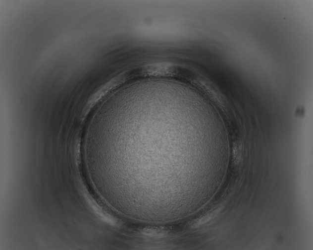 X0000093500725200710191248