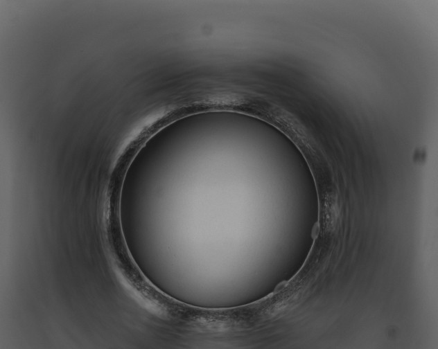 X0000093500726200710191248